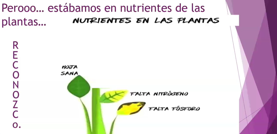 AGROQUÍMICOS Y SU IMPACTO AMBIENTAL